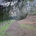 T3 - Vue - La Chaume - Au Calme - La Cle Chaumoise 公寓 *